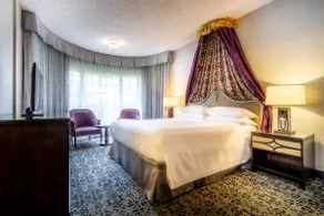 Convenient Shuttle to Disneyland - Stay in Style! - Image 4
