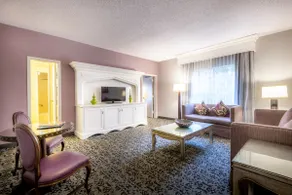 Convenient Shuttle to Disneyland - Stay in Style! - Image 5