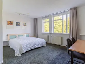 Lהgenhet i Alkmaar med havsstrand - Image 5