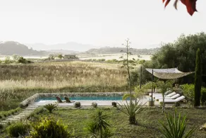 Green View - Image 3