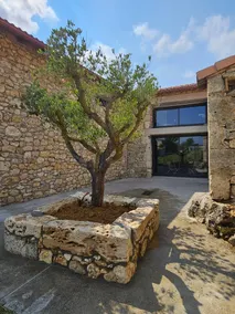 Villa & Spa Luxuria - Image 5