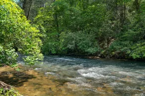 A Whitewater Retreat - Fightingtown Creek - Image 5