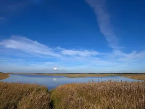 6 person holiday home in Blåvand - Image 3