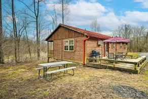 Cozy Cabin in Parsons: Hike, Fish & Explore! - Image 3