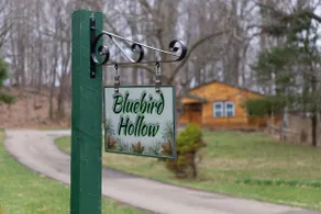Bluebird Hollow is a cozy little home in the woods - Image 2
