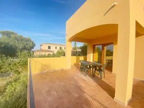 Pettirosso - Image 3