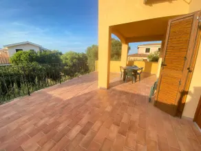 Pettirosso - Image 4