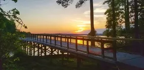 Go fishing at Lake Crabtree County Park! - Image 5