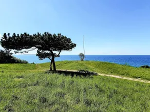 8 person holiday home in Hundested - Image 5
