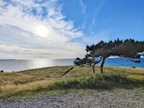 8 person holiday home in Hundested - Image 3