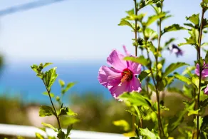 Aigli Summer Getaway - Seaview Lux Retreat - Image 5