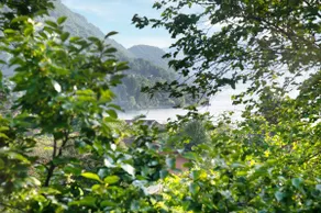 The sun of warm Lake Maggiore 504 - Image 2