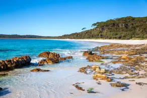 Hyams Drift by Latitude South Coast - Image 5