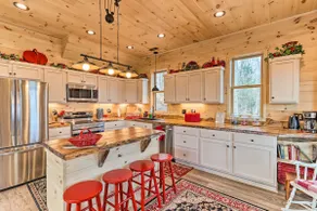 Mineral Bluff Cabin Near Lake Blue Ridge! - Image 4