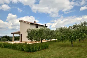 House Danci - Image 2
