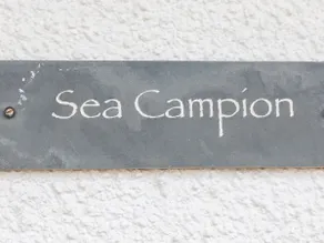 Sea Campion - Image 2