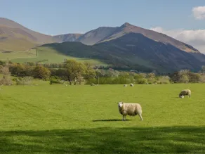Ashness - Image 2