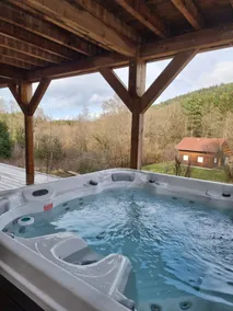 L'orée des bois, SPA et Sauna - Image 2