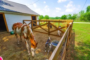 Spacious Missouri Vacation Rental w/ Fire Pit! - Image 2