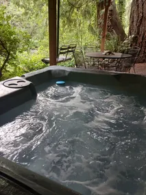 Chase’s River Cabin • Over River Deck • Hot Tub - Image 3