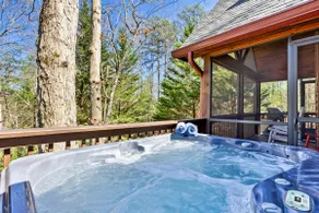 Catching Fireflies Cabin: Family Getaway | Hot Tub - Image 2