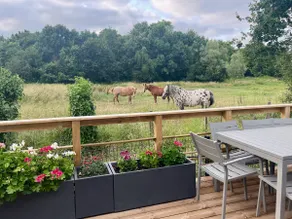Modern and cosy ecolodge, shared heated pool, Les Mathes - Image 5