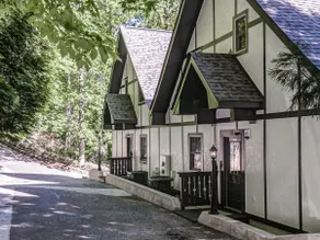 Two Homes • Sleeps 18 • Walk to Helen • 2 Hot Tubs - Image 5