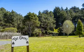 The Grove - Image 5