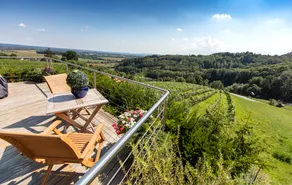 Lenhard - Wine Truffle Living Apartment Périgord - Image 5