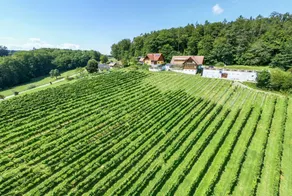 Lenhard - Wine Truffle Living Apartment Périgord - Image 2
