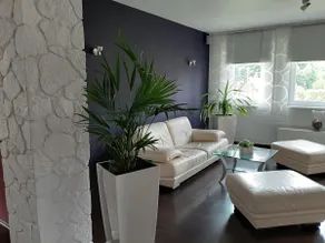 Vacation home in the green Muldental - Image 5