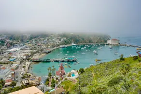 Dreamy Catalina Island Home, Walk to Beach & Ferry - Image 2