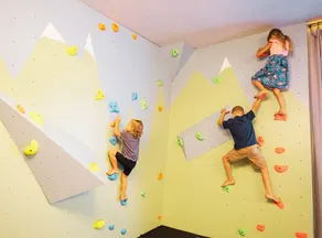 Evergreen Retreat – Hot Tub, Sauna & Climbing Wall - Image 4
