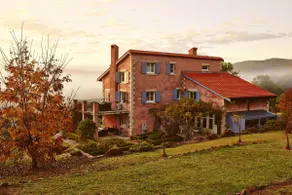Talits Estate Vineyard - Image 4