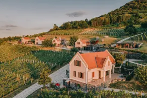 5 Ház Borbirtok - 5 House Wine Estate - Image 5