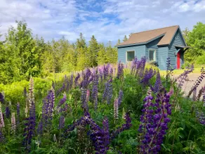 Wonderland Home | 2BR retreat, mins to Acadia NP - Image 3
