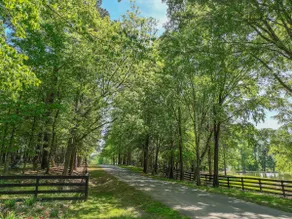 Hidden Haven on 9 acre, pond, barn and more, sleeps 20 - Image 5