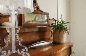 Panoramic Mulberry Beach plendid sea front apartment - Image 5