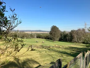 The Wetlands Retreat - Image 4
