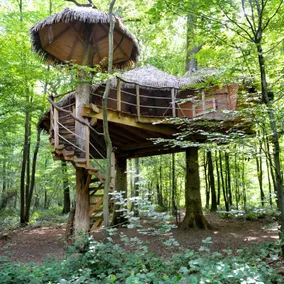 Robin Hood Family Cabin - Image 5