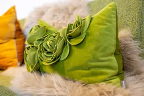 spring - Image 3