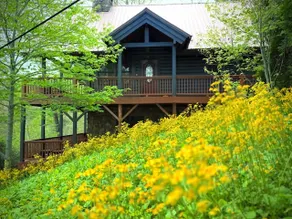 The Heartwood - game room, fire pit, privacy - Image 3