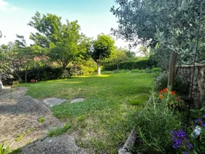 L'Oustal de l'Olivier - Image 3