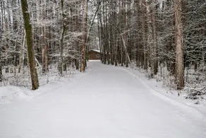 Unwind at Driftless Pines Cabin - Image 3