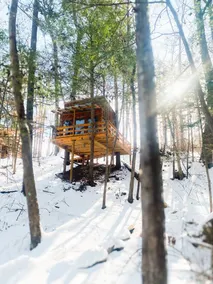 Romantic Cabin with Waterfall & Treehouse - Image 5