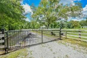 Spacious Retreat 10min from UA, Pet-Friendly - Image 3