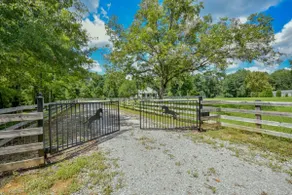 Spacious Retreat 10min from UA, Pet-Friendly - Image 4