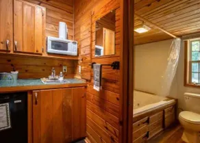 Deluxe Cabin - Jetted Tub - Image 4
