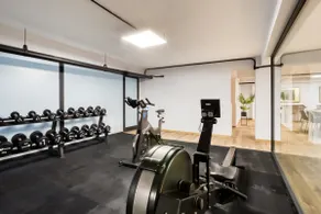 Rooftop+Gym+C/Business | Downtown and Urban Space - Image 4