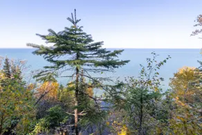 Hodag House | Magical Cabin & Creature Comforts - Image 4